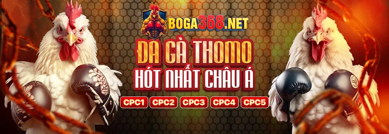 Đá Gà RS99 Trực Tuyến