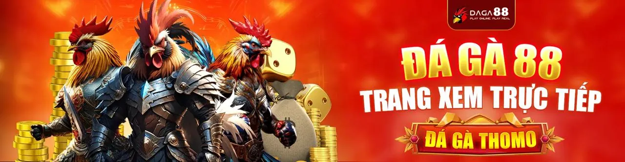 Đội ngũ hỗ trợ khách hàng RS99 chuyên nghiệp 24/7